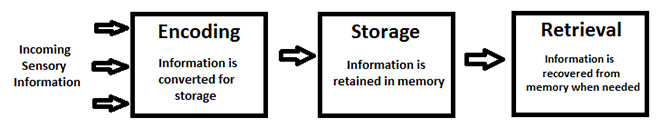 Encoding, storage and retrieval diagram